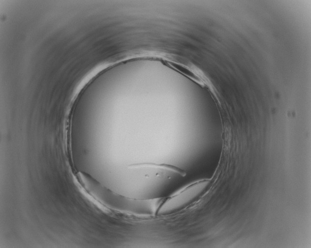 X0000081421151200702021621