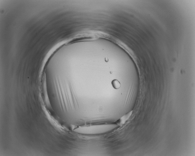 X0000081421152200702021621