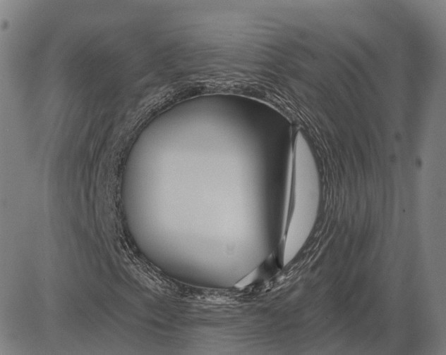 X0000081421153200702021620