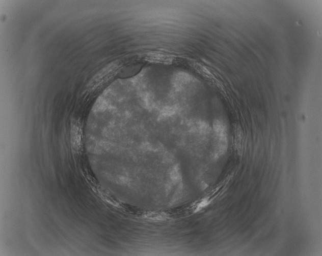 X0000081421154200702021620