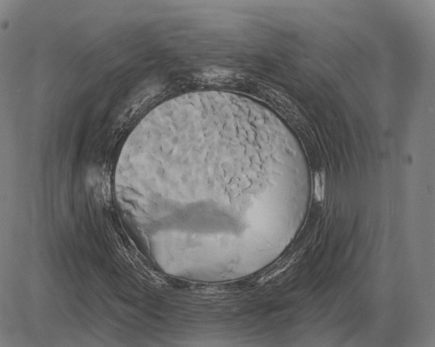 X0000081421155200702021620