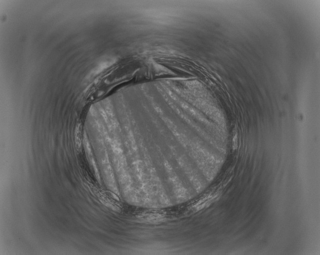 X0000081421156200702021620