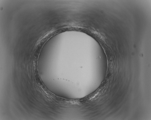 X0000081421159200702021620