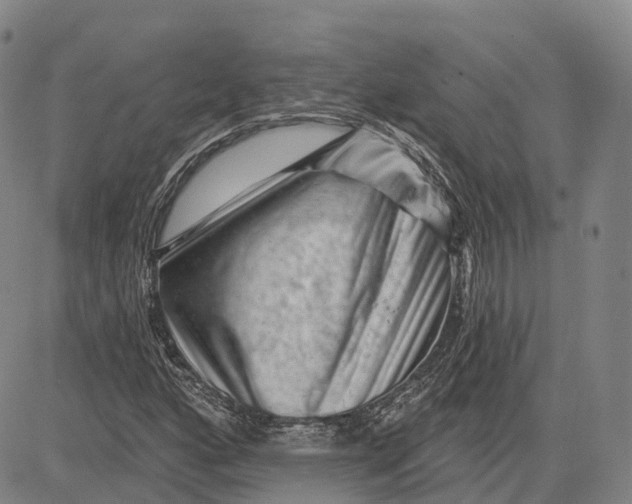 X0000081421160200702021620