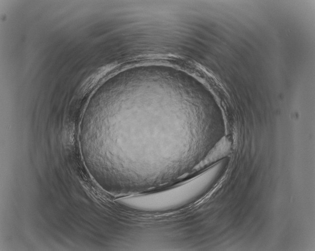 X0000081421161200702021620