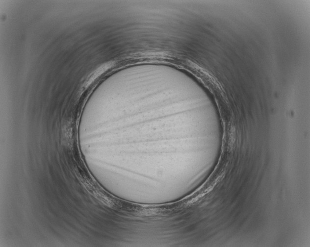 X0000081421162200702021620