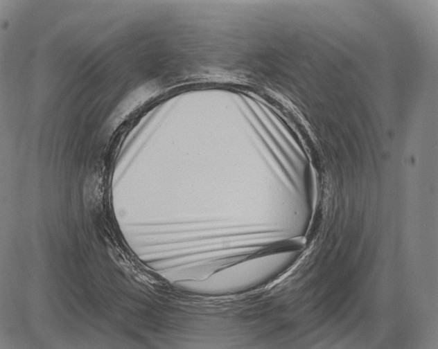 X0000081421163200702021620