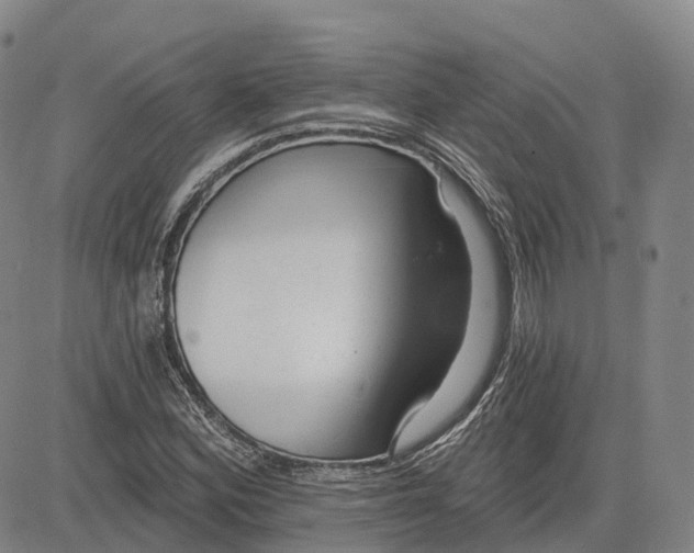 X0000081421164200702021620