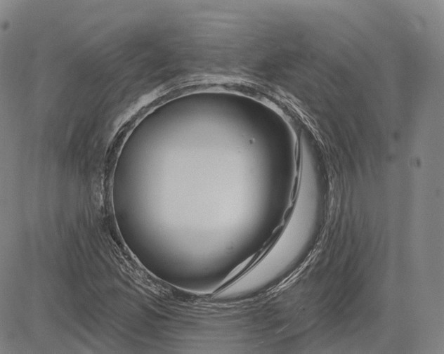 X0000081421165200702021620