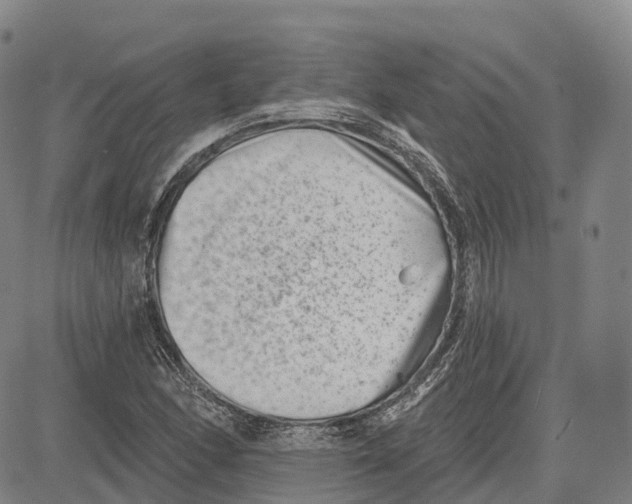 X0000081421166200702021620