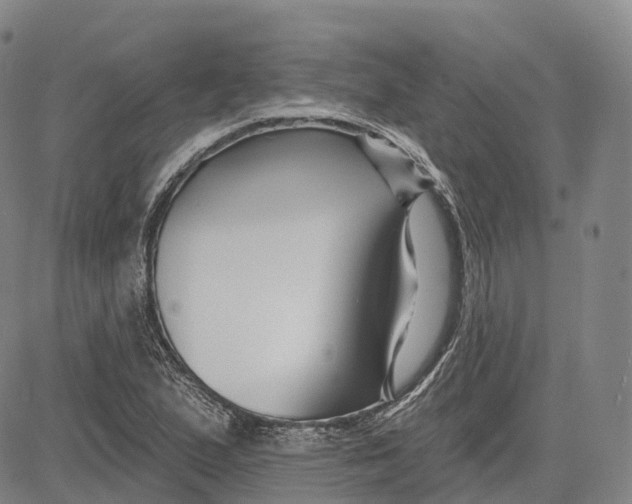 X0000081421167200702021620