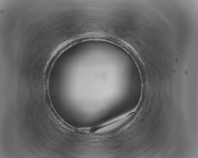 X0000081421168200702021620