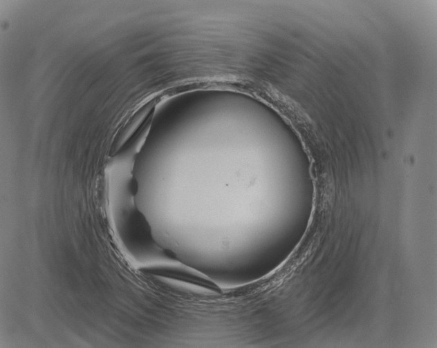 X0000081421169200702021620