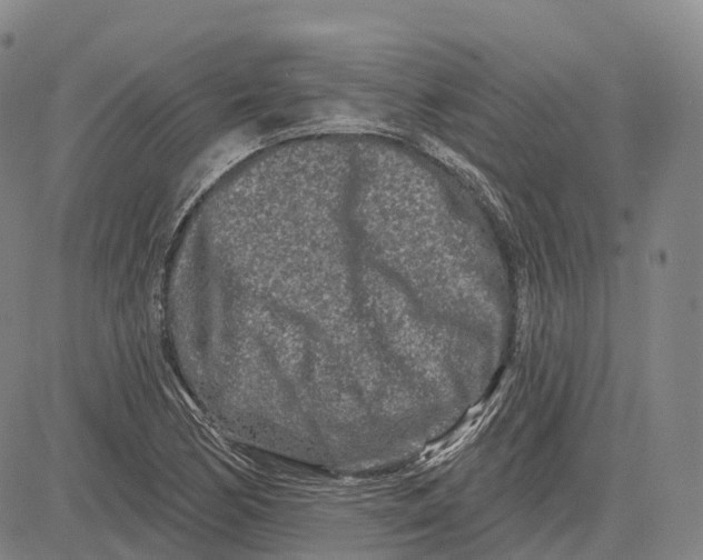 X0000081421170200702021620