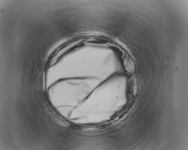 X0000081421171200702021620