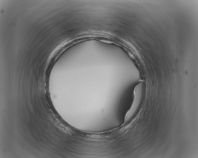 X0000081421172200702021620