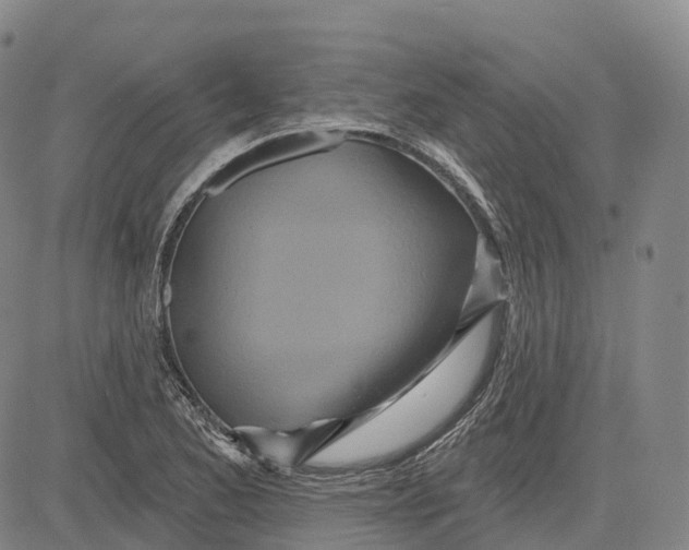 X0000081421173200702021620