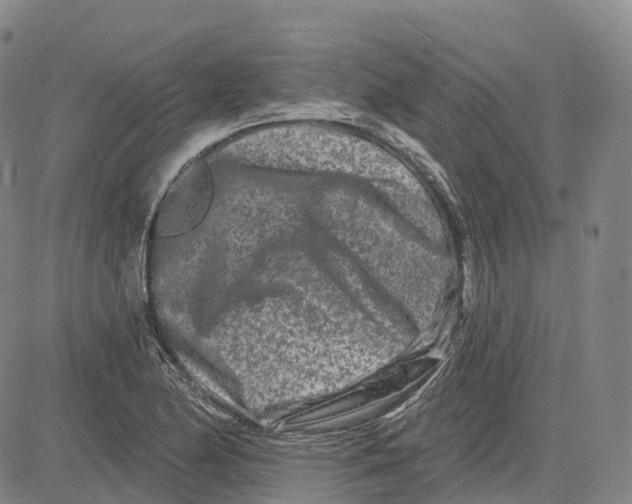 X0000081421174200702021620