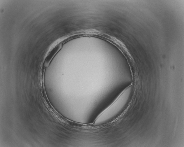 X0000081421176200702021620