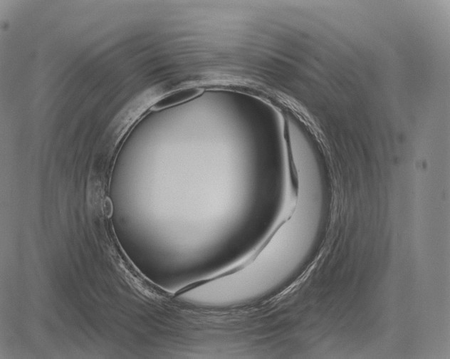 X0000081421177200702021620