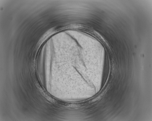 X0000081421178200702021620