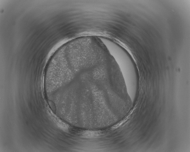 X0000081421179200702021620