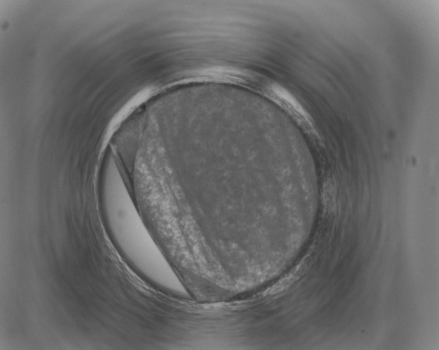 X0000081421180200702021620