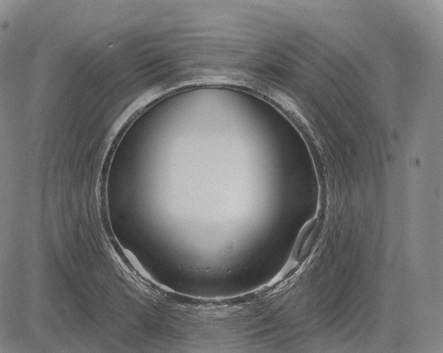 X0000081421181200702021620