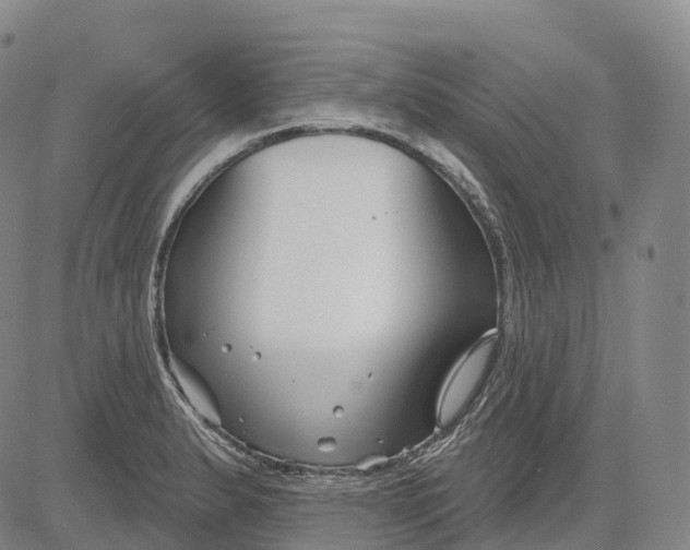 X0000081421183200702021620