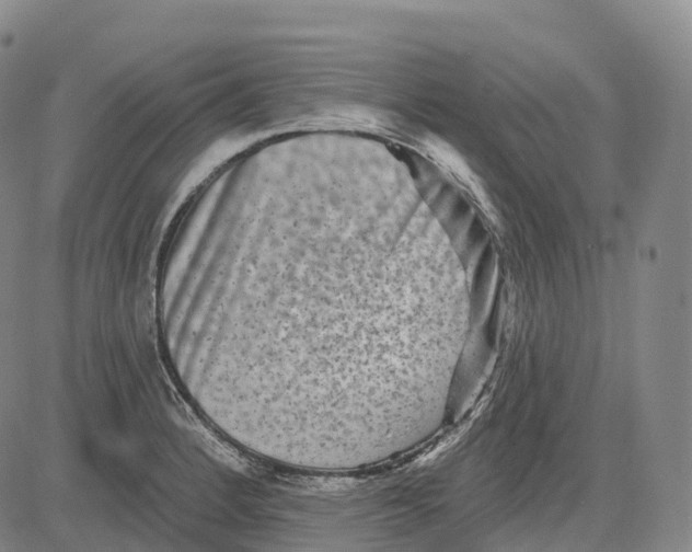 X0000081421184200702021620