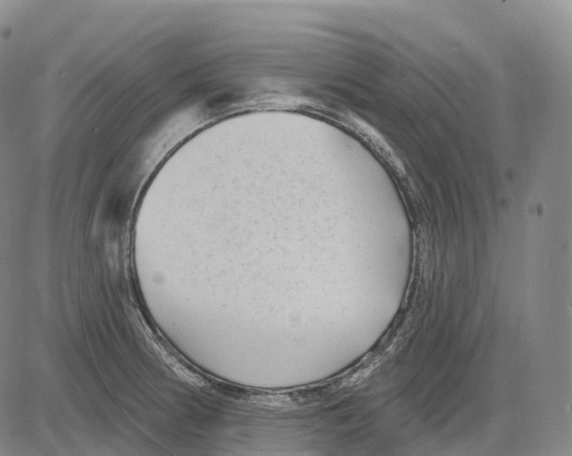 X0000081421186200702021620