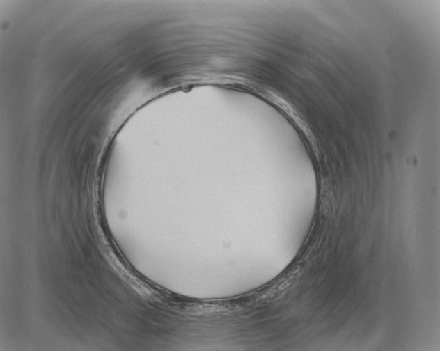 X0000081421187200702021620