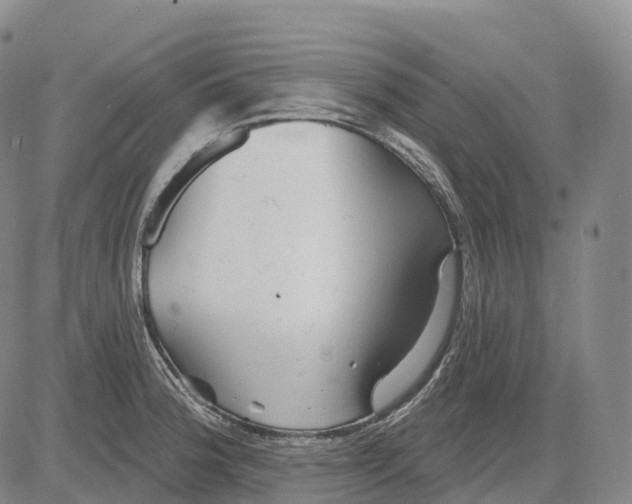 X0000081421188200702021620