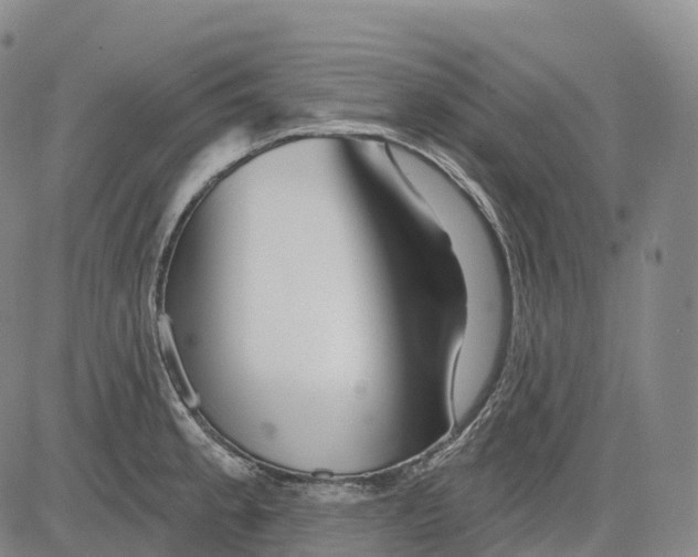 X0000081421189200702021620