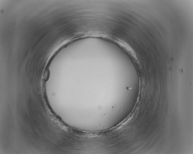 X0000081421190200702021620