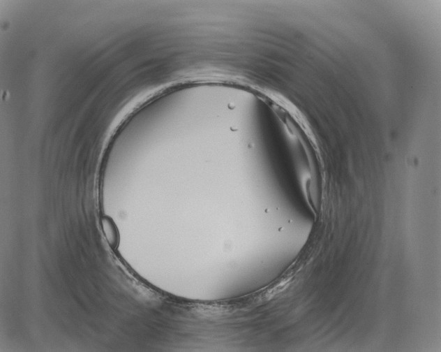 X0000081421191200702021620