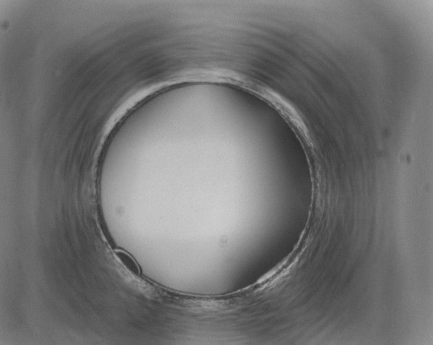 X0000081421192200702021620