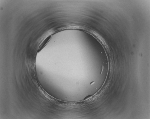 X0000081421193200702021620