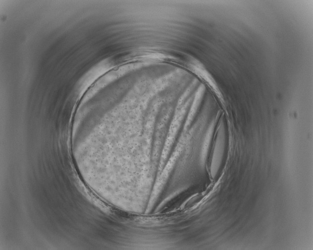 X0000081421194200702021620