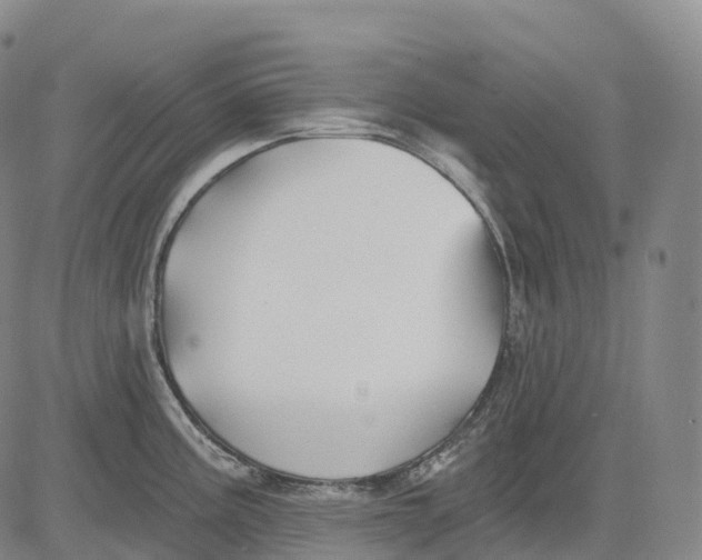 X0000081421195200702021620