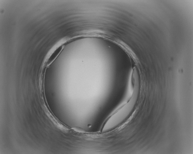 X0000081421196200702021619