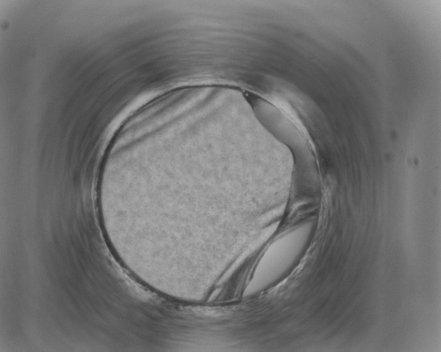 X0000081421197200702021619