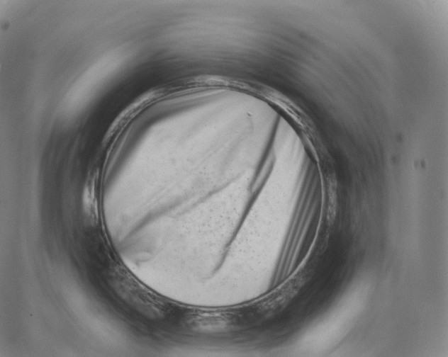 X0000081421198200702021619