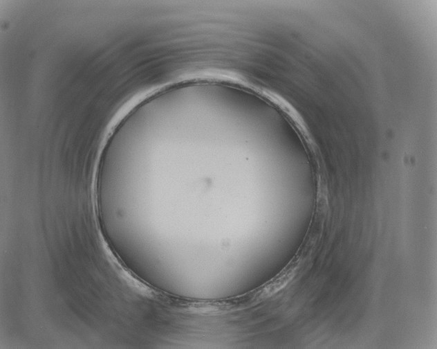 X0000081421199200702021619