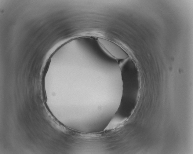 X0000081421200200702021619