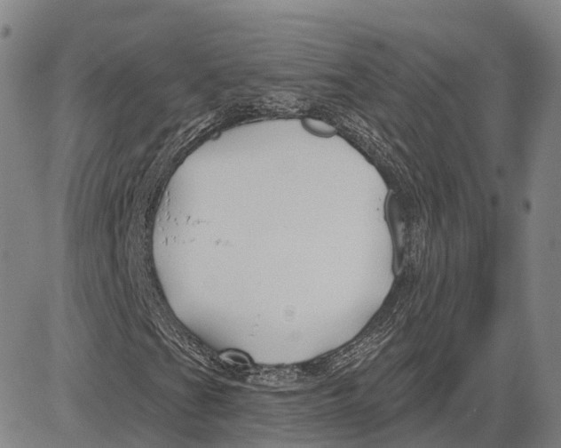 X0000081421201200702021619