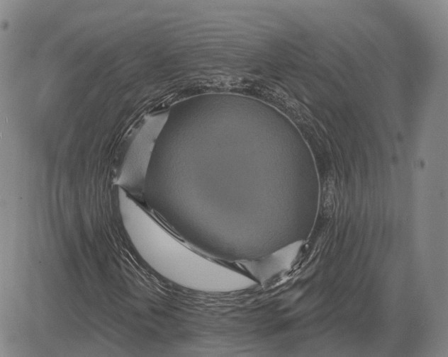 X0000081421202200702021619