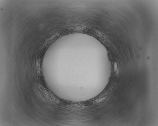 X0000081421203200702021619