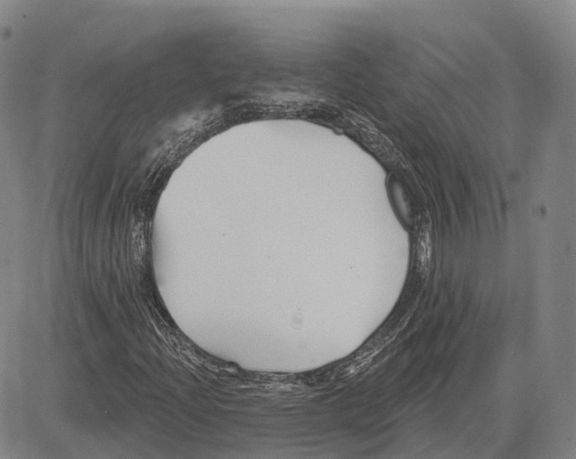 X0000081421204200702021619