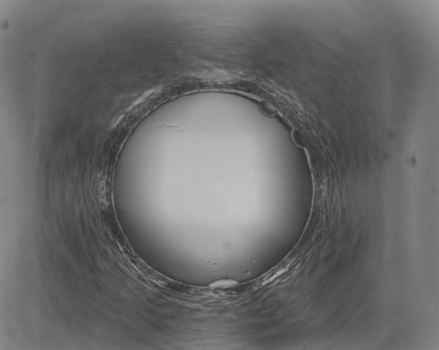 X0000081421205200702021619